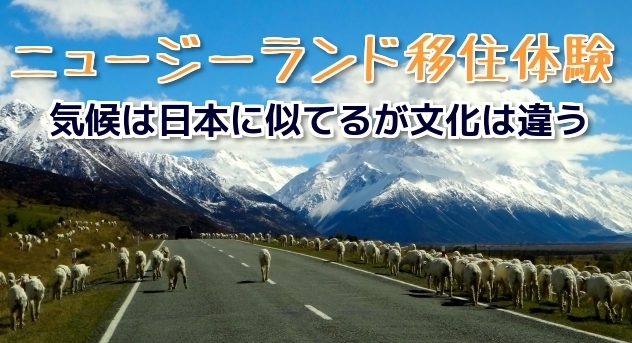 ニュージーランド移住体験｜気候は日本に似てるが文化は違う